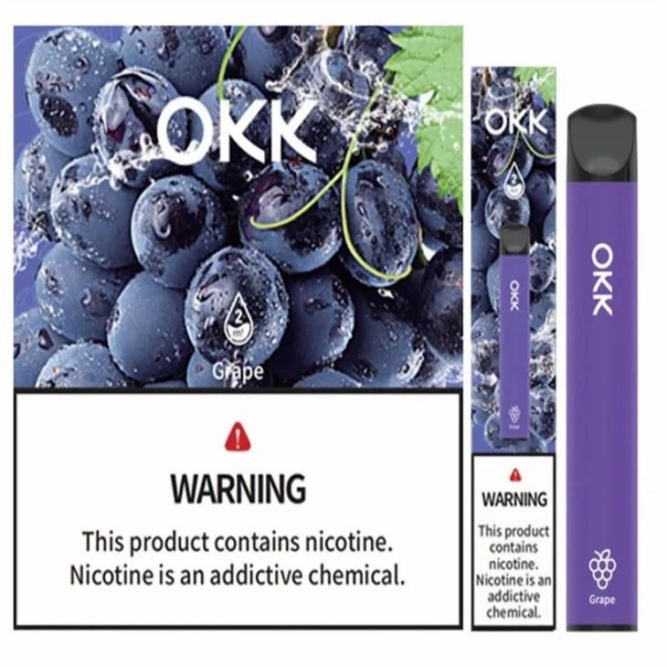 OKK RAYS Electronic Cigarette Disposable Vape factory