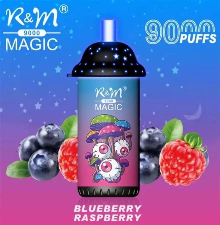 R&M MAGIC 9000 Puffs Vape suppliers